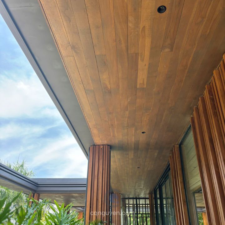 Trần gỗ teak ốp phẳng