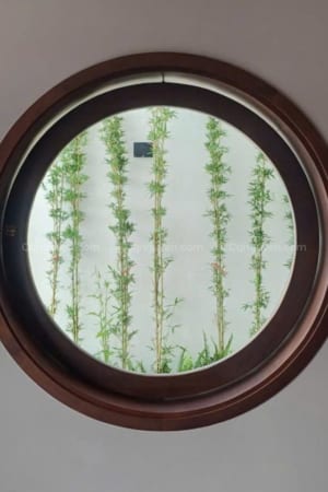 cửa sổ tròn