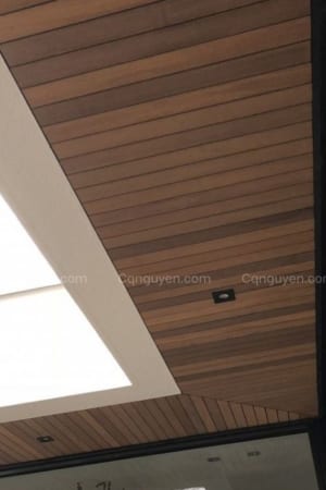 trần gỗ tần bì biến tính ốp phẳng