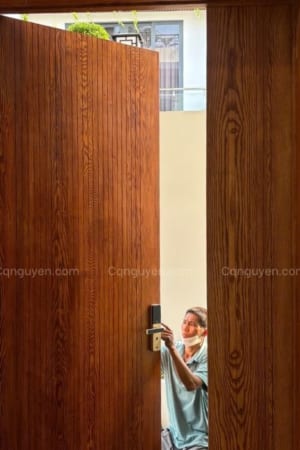 cửa chính gỗ tần bì